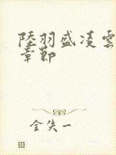 陆羽盛凌云最新章节