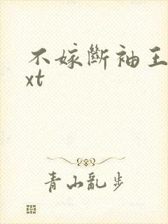 不嫁断袖王爷txt