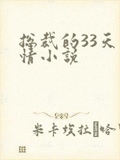 总裁的33天索情小说