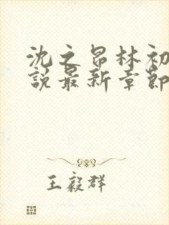 沈之昂林初窈小说最新章节免费阅读