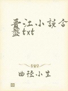 晋江小说合集网盘txt