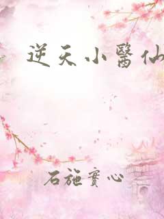 逆天小医仙陈平