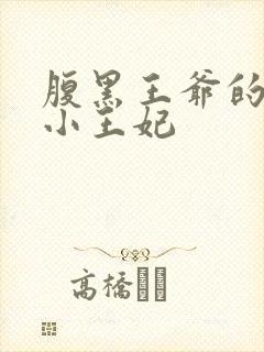 腹黑王爷的萌宠小王妃