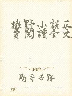 撒野小说正版免费阅读全文无删减