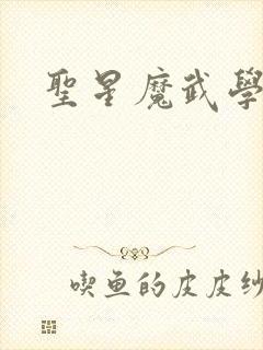 圣星魔武学院