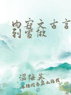 肉宠文古言很肉到处做