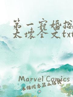 第一宠婚总裁别太坏全文txt