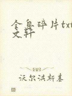 全息碎片txt文轩