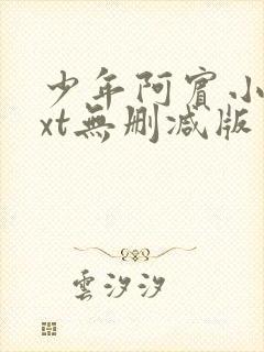 少年阿宾小说txt无删减版