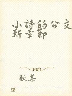 小诗的公交车最新章节