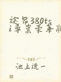 途昂380tsi尊崇豪华版