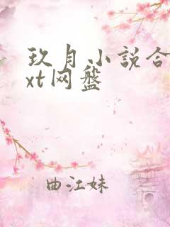 玖月小说合集txt网盘