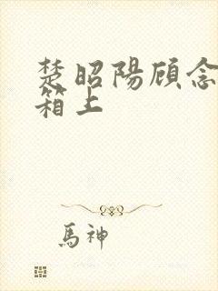 楚昭阳顾念在冰箱上