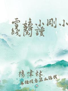 雪姨小刚小说在线阅读