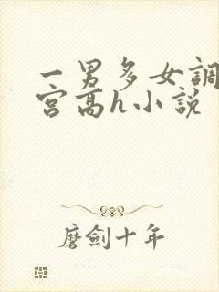 一男多女调教后宫高h小说