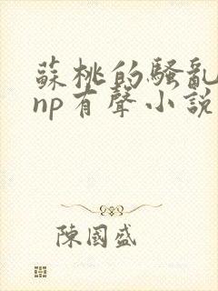 苏桃的骚乱文肉np有声小说