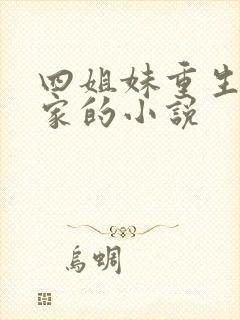 四姐妹重生 沈家的小说