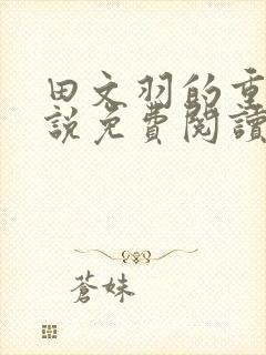 田文羽的重生小说免费阅读