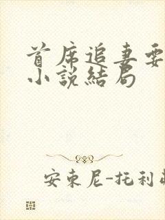 首席追妻要给力小说结局