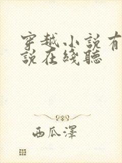 穿越小说有声小说在线听