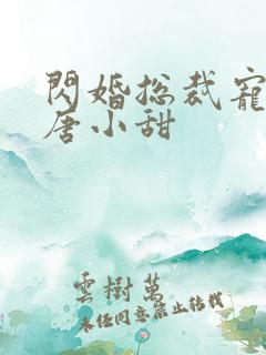 闪婚总裁宠爆了唐小甜