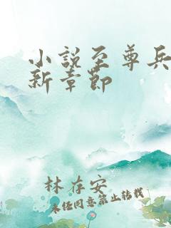 小说至尊兵王最新章节