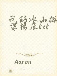 我的冰山总裁老婆杨辰txt