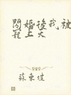 闪婚后我被大叔宠上天