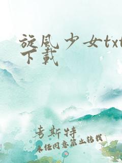 旋风少女txt下载