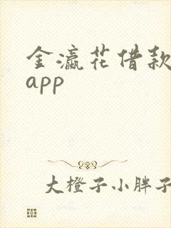 金瀛花借款下载app