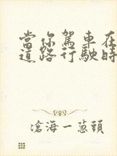 当你驾车在山区道路行驶时 应注意什么