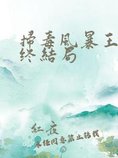 扫毒风暴王林最终结局