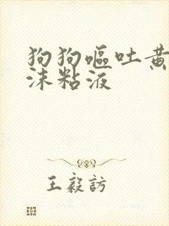 狗狗呕吐黄水泡沫粘液