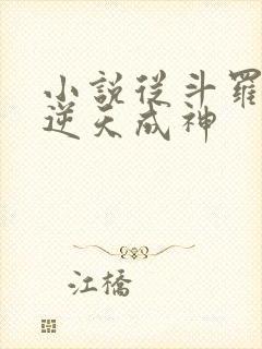 小说从斗罗开始逆天成神