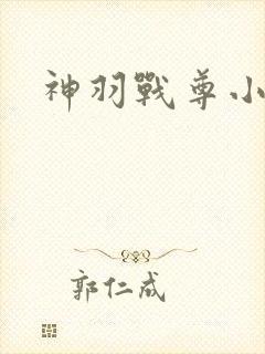 神羽战尊小说