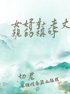 女婿对老丈人父亲的称呼