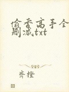 偷香高手全文无删减txt