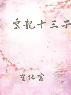 云龙十三子