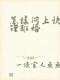 怎样网上快速办理离婚