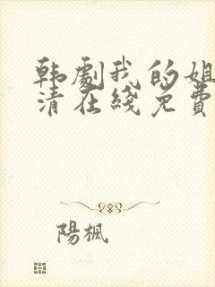 韩剧我的姐姐高清在线免费观看