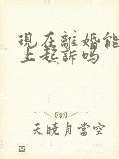 现在离婚能在网上起诉吗