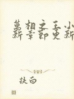 万相之王小说最新章节更新时间