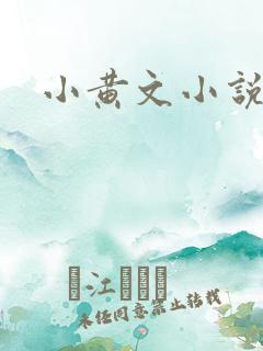 小黄文小说