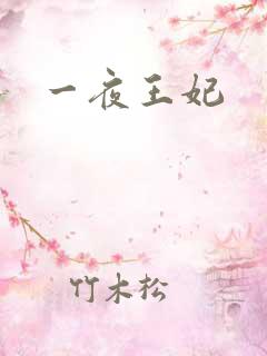 一夜王妃