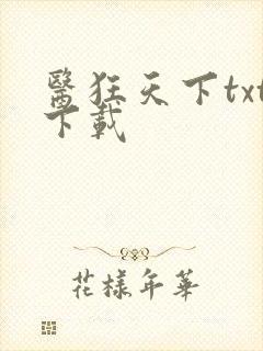 医狂天下txt下载