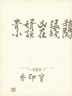 贵婿凶猛赵阳的小说在线阅读