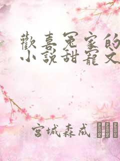 欢喜冤家的古言小说甜宠文