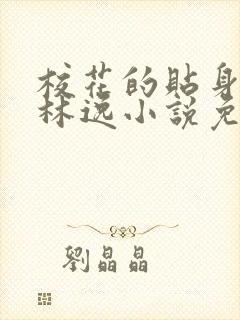 校花的贴身高手林逸小说免费版