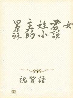 男主姓君女主姓苏的小说