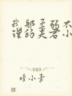 我那柔弱不能自理的夫君小说